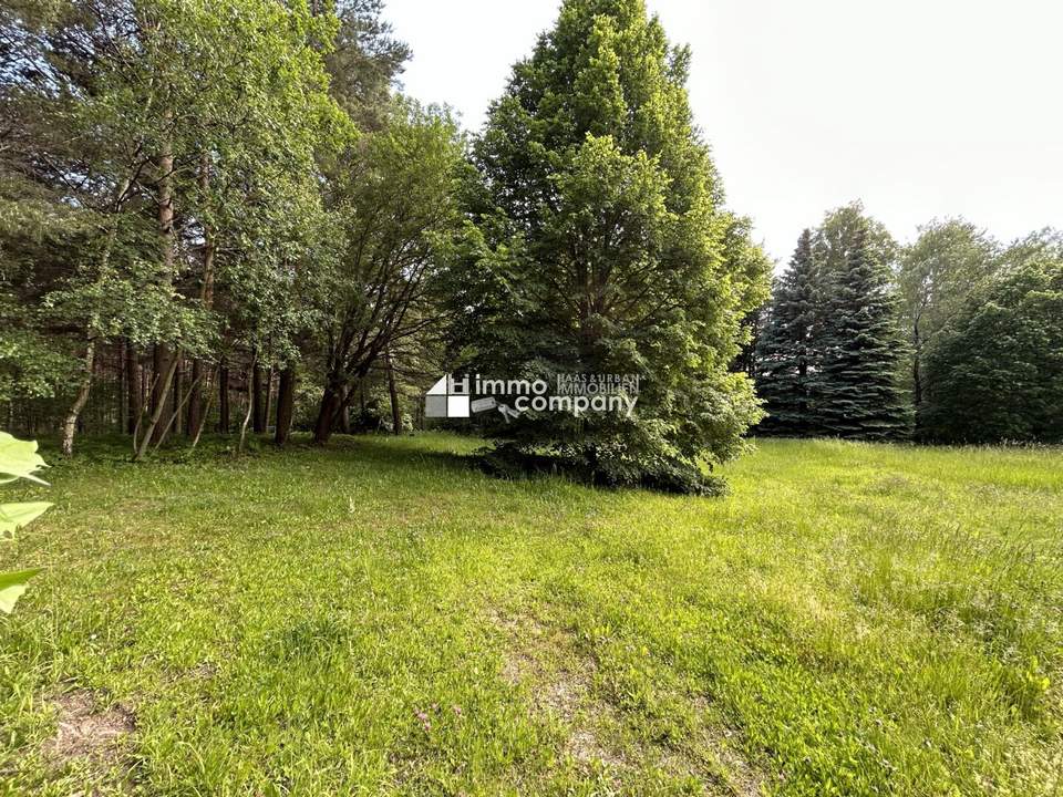 Ihre Gelegenheit! Grundstück in Traumlage mit Waldbestand!