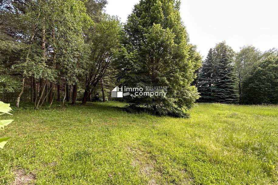 Ihre Gelegenheit! Grundstück in Traumlage mit Waldbestand!, Grund und Boden-kauf, 400.000,€, 2812 Wiener Neustadt(Land)