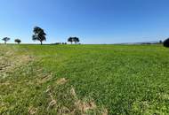 Landwirtschaftliche Fläche