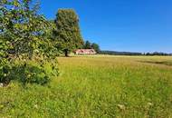 Rarität: Wunderschönes Grundstück mit eigenem Quellenanteil in Wenigzell zu verkaufen!