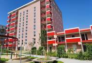 JONAS AM FELD! HOLEN SIE SICH EINE DER LETZTEN FREIEN EINHEITEN!