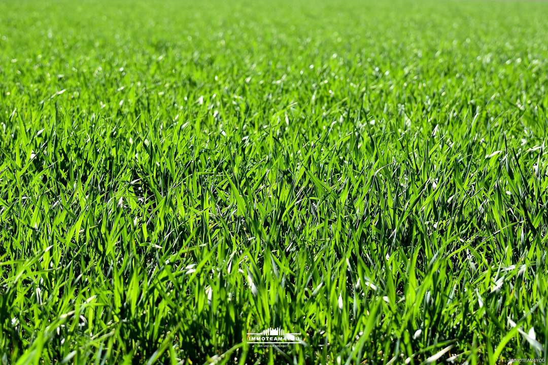 Perfektes Grundstück für gewerbliche Nutzung