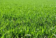 Perfektes Grundstück für gewerbliche Nutzung