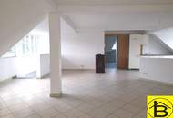 15569 Leistbare Luxuswohnung!