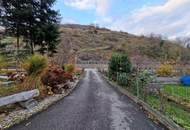 RARITÄT: EHEMALIGES WINZERHAUS MIT JEDER MENGE WOHNRAUM UND VIEL PLATZ