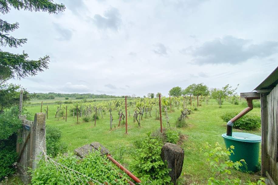 Romantisches Winzerhaus mit Wienblick und Weingarten, Haus-kauf, 498.000,€, 1210 Wien 21., Floridsdorf