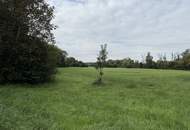 Natur pur