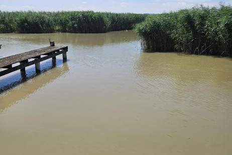Gelegenheit - Seehütte am Neusiedlersee, Haus-kauf, 95.000,€, 7071 Rust(Stadt)