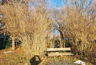 LIEGENSCHAFT FÜR PERDE- UND NATURLIEBHABER 30 Minuten von Wien