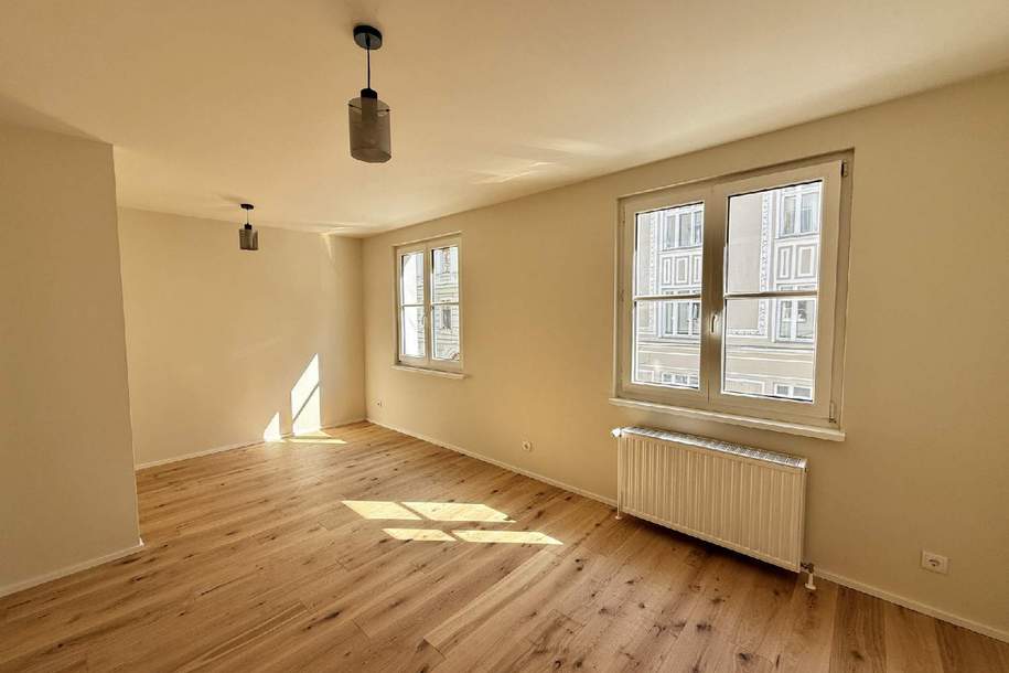 Wohnen am Rande des beliebten Freihausviertels-1-Zimmer-Wohnung mit moderner Ausstattung, Wohnung-kauf, 252.000,€, 1040 Wien 4., Wieden