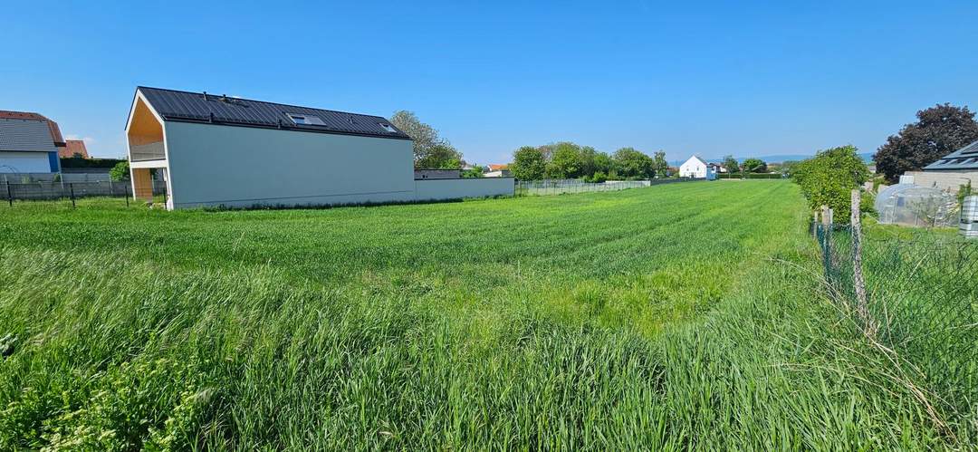 Wunderschöner sonniger Baugrund in Oslip