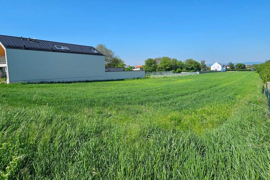 Wunderschöner sonniger Baugrund in Oslip, Grund und Boden-kauf, 399.000,€, 7064 Eisenstadt-Umgebung