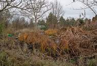 Baumeisterhaus in ökologischer Bauweise, Naturgarten, Photovoltaik
