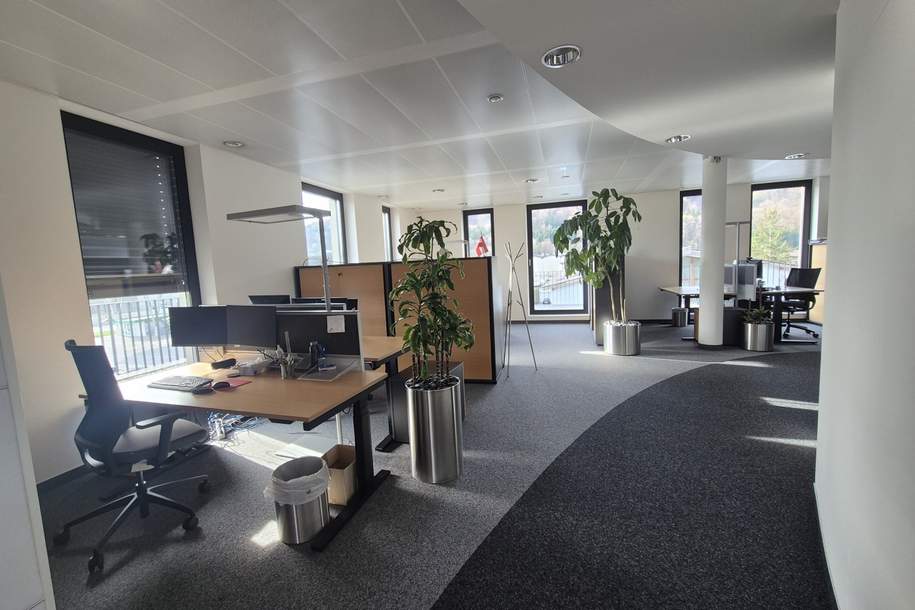 PRAXIS/BÜRO/ORDINATION, Gewerbeobjekt-miete, 5.519,60,€, 5101 Salzburg-Umgebung