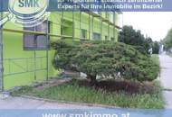 ANGENEHMES ARBEITEN IM EIGENEN BÜRO!