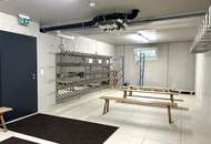 Mountain Chalet Apartment "AlpenParks"