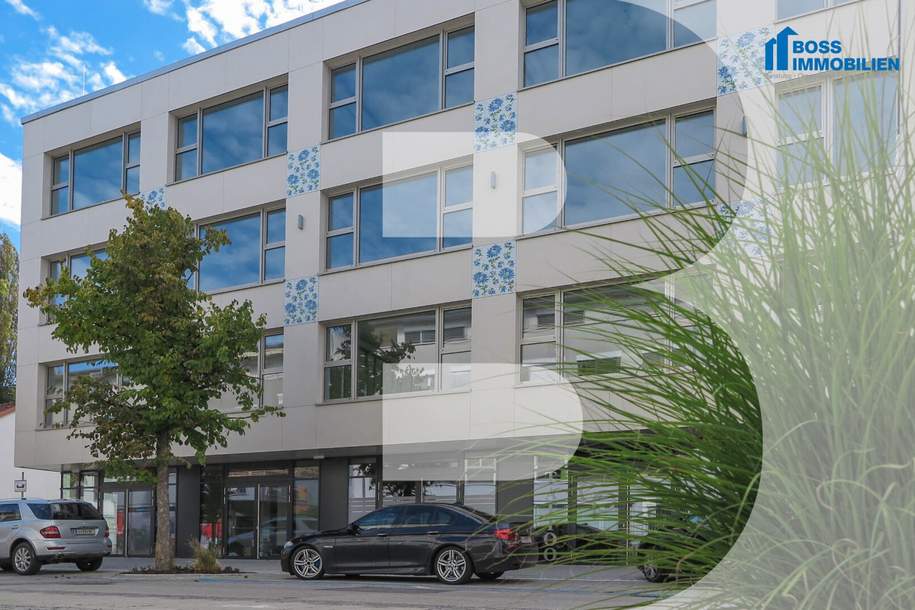 Lebensraum Arbeit - Graumann-Lofts 3.5, Gewerbeobjekt-miete, 595,00,€, 4050 Linz-Land