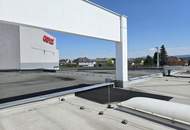540 m² große und helle Büro- oder Geschäftsfläche im EK-West in 3300 Amstetten/Greinsfurth zu MIETEN