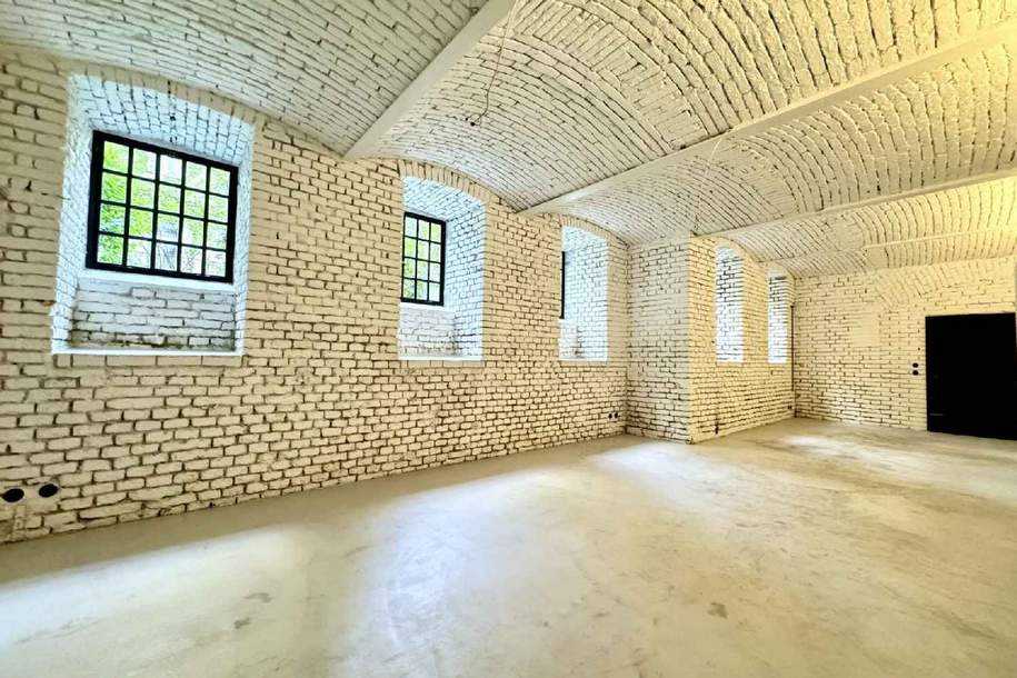 Stylisches und neu saniertes Atelier in der Servitengasse zu mieten, Gewerbeobjekt-miete, 1.200,00,€, 1090 Wien 9., Alsergrund