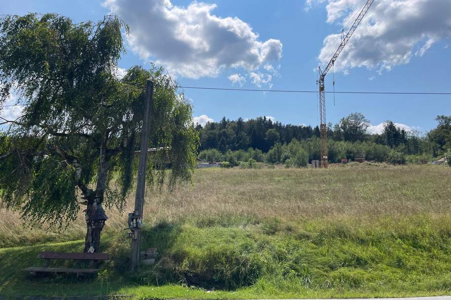 Donau.Blick - Grundstück in Pyrawang (Nahe Passau), Grund und Boden-kauf, 158.800,€, 4092 Schärding