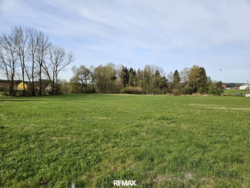 Baugründe im Neubaugebiet!