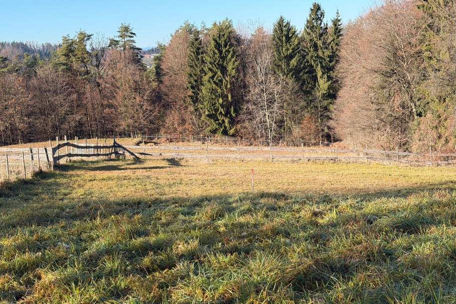 Ihr Platz zum Ankommen – Baugrundstück in ruhiger Lage auf der Schemerlhöhe nächst Laßnitzhöhe, Grund und Boden-kauf, 179.000,€, 8076 Graz-Umgebung