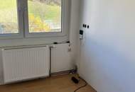 Einfamilienhaus im Grünen