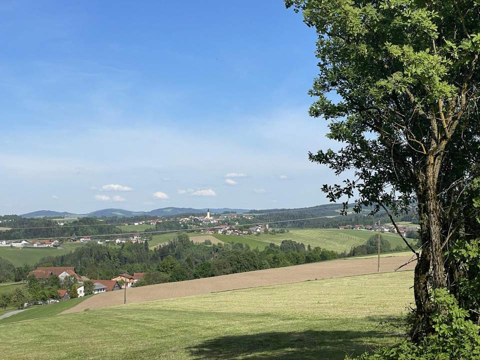 Landwirtschaftlicher Nutzgrund mit ca. 5 Ha - kleine Hofstatt mit Nebengebäuden