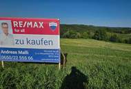 3 Baugrundstücke 15 km östlich von Graz zum Sonderpreis!