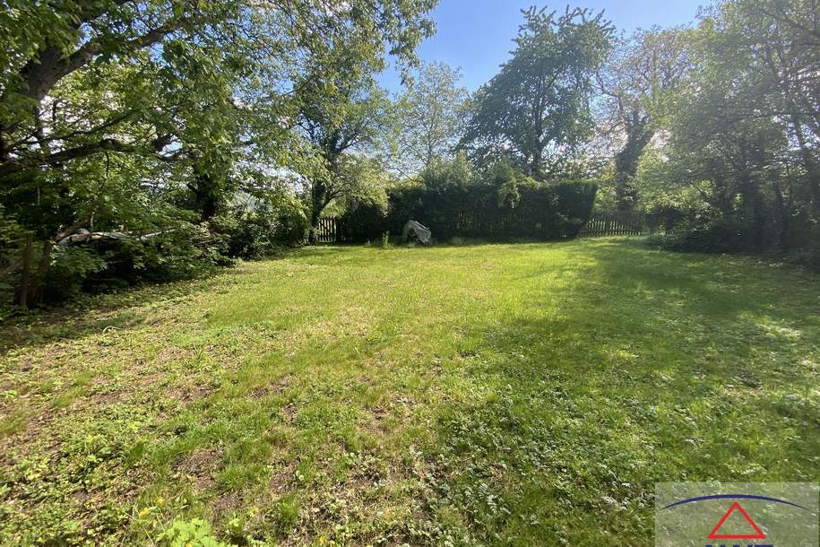 Hof in Ruhelage 2.460 m² Grund, ideal für Pferde- und Tierliebhaber, Haus-kauf, 229.000,€, 7433 Oberwart
