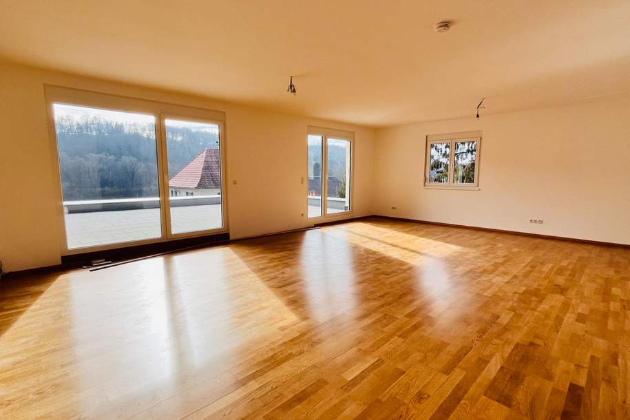 Neuer Preis! Schöne, große 4 Zimmer Wohnung mit großer Terrasse. Provisionsfrei!, Wohnung-kauf, 390.000,€, 8301 Graz-Umgebung