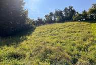 Interessantes Baugrundstück in Stadtnähe