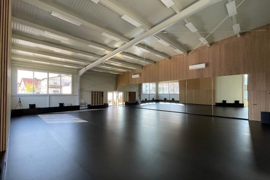 Zwei 180 m2 Säle zur individuellen Nutzung!, Gewerbeobjekt-miete, 40,00,€, 2353 Mödling