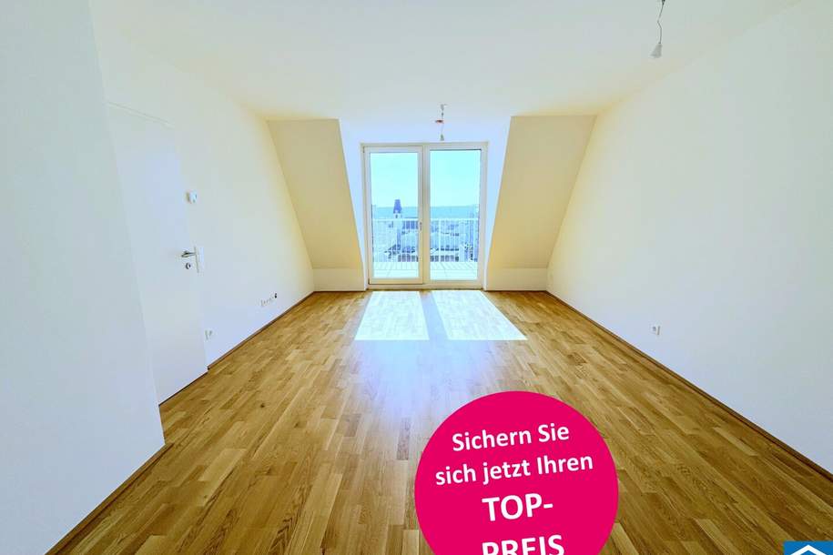 Investment am Matznerpark., Wohnung-kauf, 199.000,€, 1140 Wien 14., Penzing