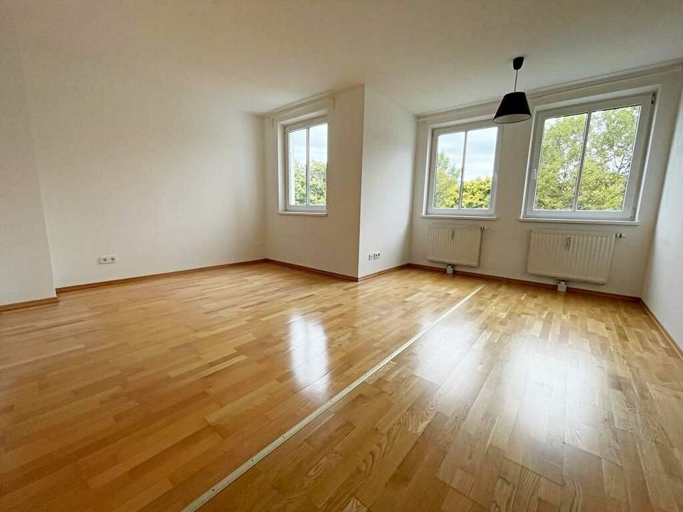 U4/U6-Nähe, HARDTGASSE, 30 m2 Neubau, Einzelwohnraum, Kochnische, Wannenbad, Parketten, Hofruhelage