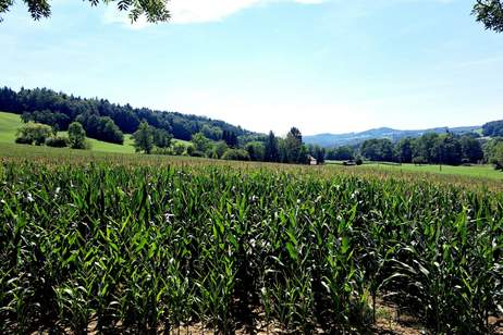 ACKER FAHRAFELD - ZUM VERKAUF, Grund und Boden-kauf, 450.000,€, 3072 Sankt Pölten(Land)