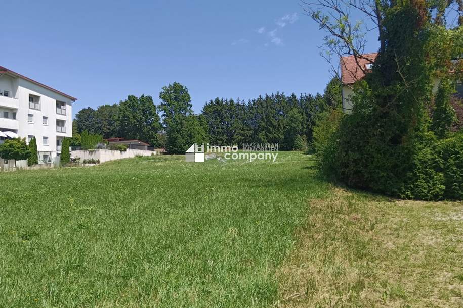 5000 m² großer Baugrund in der Gemeinde Bad Tatzmannsdorf, Grund und Boden-kauf, 475.000,€, 7431 Oberwart