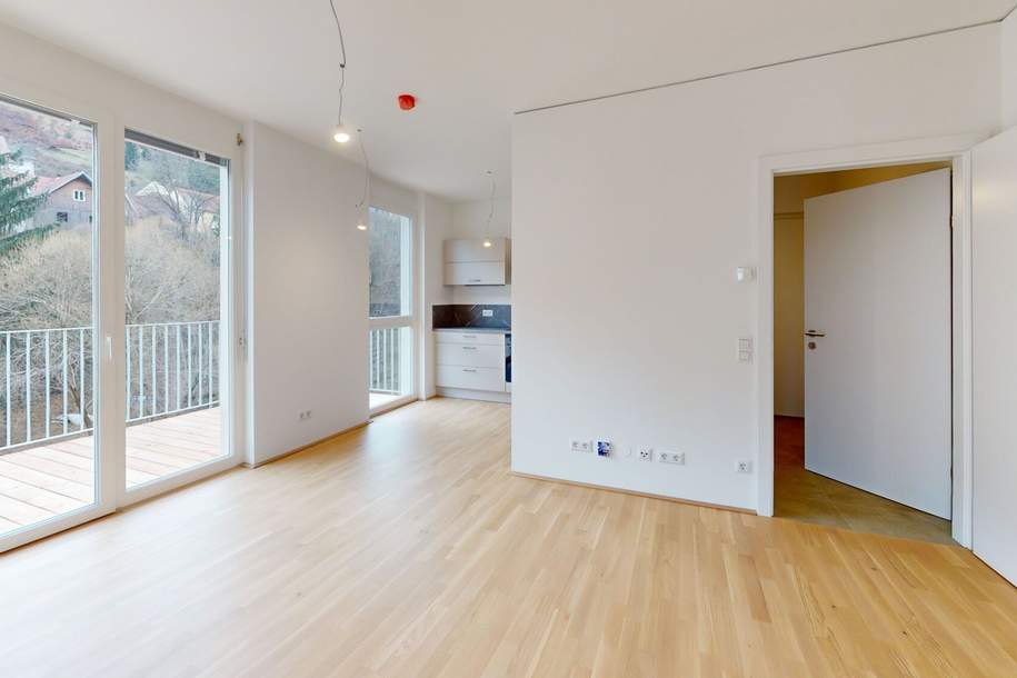 Vermietete Anlegerwohnung – 3 Zimmer, 2 Balkone, Gösting, Wohnung-kauf, 212.727,€, 8051 Graz(Stadt)