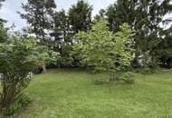 Charmantes Sommerhaus mit Potenzial in Pottendorf | ZELLMANN IMMOBILIEN