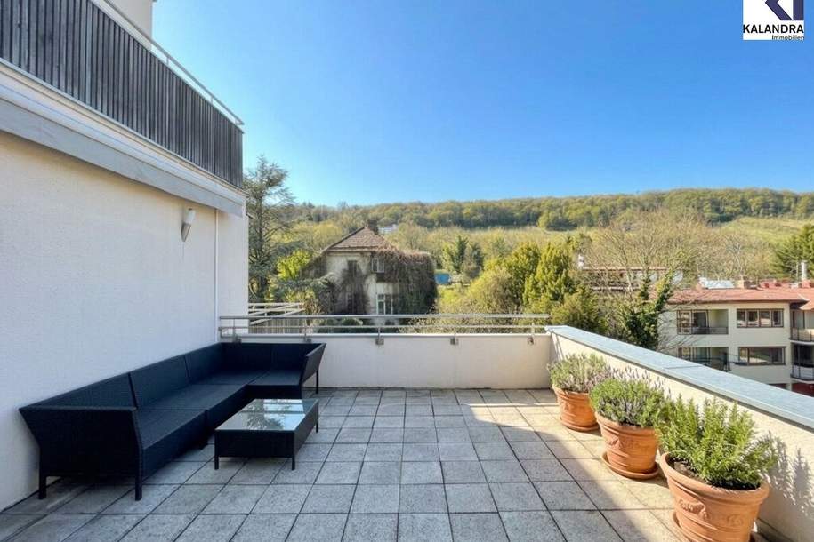 360° TOUR // LUXUS-DACHTERRASSEN-WOHNUNG mit FERNBLICK, Wohnung-miete, 2.499,95,€, 1190 Wien 19., Döbling