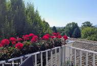Charmante Maisonette-Wohnung mit Südterrasse, Weitblick über Wien