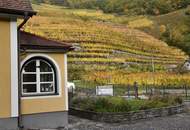Idyllisches Einfamilienhaus in Spitz / Vießling in der Wachau