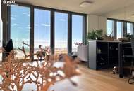 FASZINIERENDER AUSBLICK - möbliertes PARKAPARTMENT am BELVEDERE