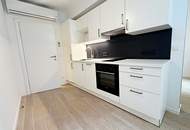 STEPHANSPLATZ-NÄHE, 27 m2 Apartment, 1 Zimmer, Kochnische, Duschbad, Parketten, 8. Liftstock, Rotenturmstraße