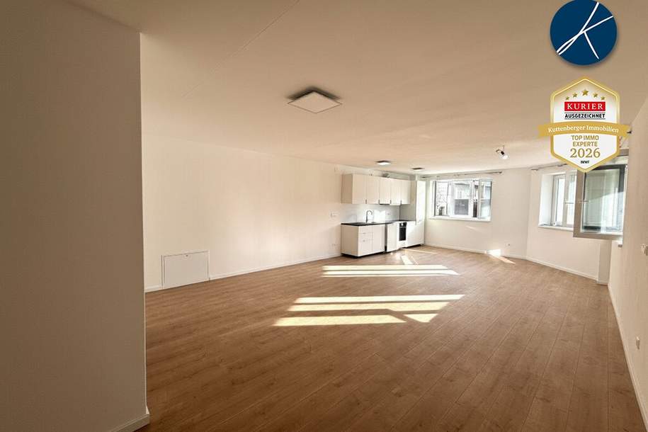 UNBEFRISTET, Großzügig und Hell am Fuße des Göttweigers!, Wohnung-miete, 1.100,00,€, 3500 Krems an der Donau(Stadt)