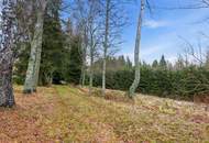 UNBERÜHRTE NATUR & VIELE MÖGLICHKEITEN - IHR PRIVATES HIDEAWAY IN HIRSCHENWIES BEI MOORBAD HAARBACH!