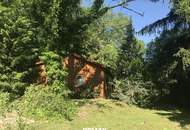 Natur pur - Holzblockhaus eingebettet in sonniger Ruhelage