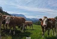 "Hof zur Steinwänd" Gasthof und Bauernhof mit Fremdenzimmern - Wald und Wiesen!