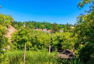 Mistelbach Nähe, Ruhelage, Preis-Sensation!