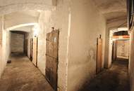 Nähe Hannovermarkt: Herrliche Dachgeschoßwohnung + Klimatisiert + Terrasse + Teilweise Fernblick + Hofruhelage